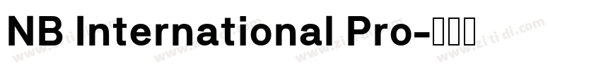 NB International Pro字体转换
